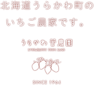 菅農園 当園は昭和39年創業開始の老舗いちご農園です。苺栽培に適した気候の北海道浦河町より「いちご」の通年販売を行っております。